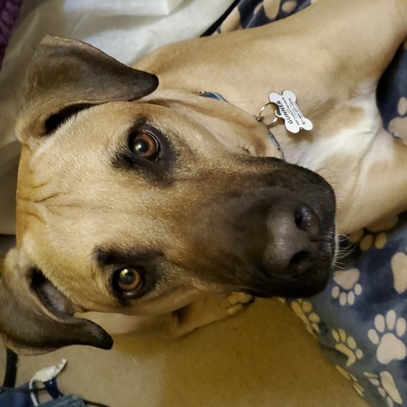 CLOSET CLOSING!!!  MAKE YOUR BUNDLES & SEND OFFERS!! PLEASE READ BELOW NOTICE 😔 - Picture 4 of 4